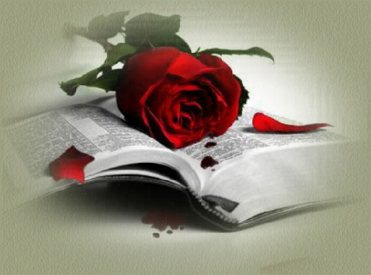 Image By Dark Blue Knight