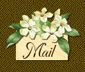 send an email message